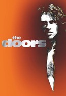 The Doors poster image