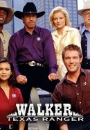 Walker, Texas Ranger poster image