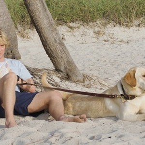 Marley & Me | Rotten Tomatoes