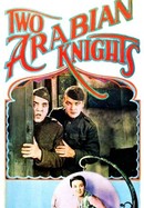 Two Arabian Knights poster image