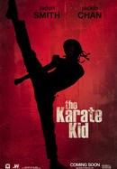 The Karate Kid poster image