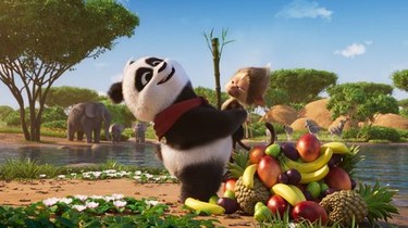 Panda Bear in Africa | Rotten Tomatoes
