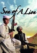 Son of a Lion poster image