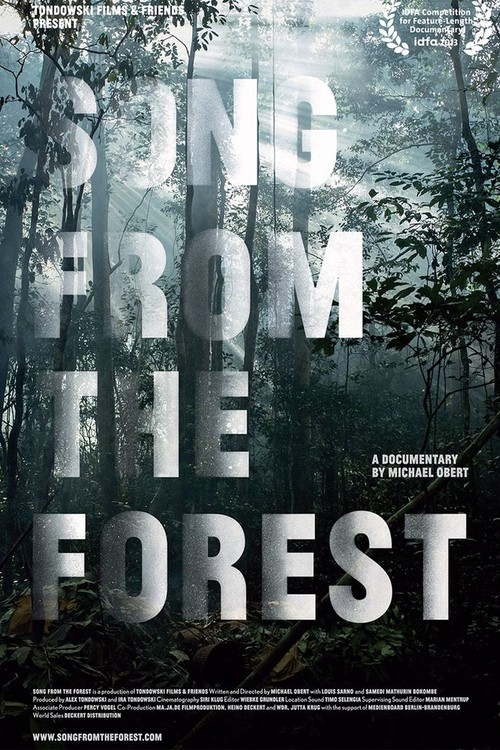 Song From the Forest poster