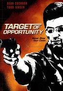 Target of Opportunity poster image