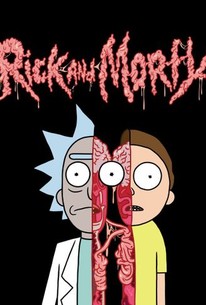 Netflix Rick And Morty Style Out Portal, HD Tv Shows, 4k