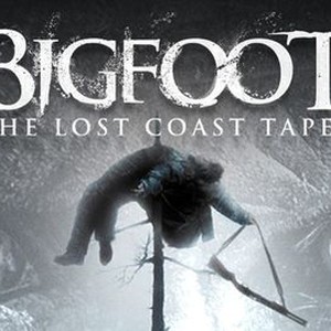 Bigfoot: The Lost Coast Tapes photo 12