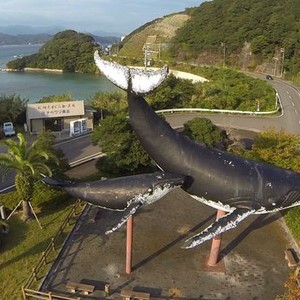 A Whale of a Tale (2016) photo 12