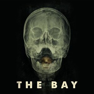 The Bay photo 7