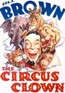 Circus Clown poster image