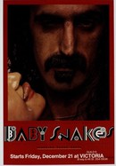 Baby Snakes poster image