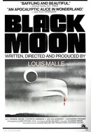 Black Moon poster image