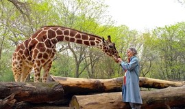 The Woman Who Loves Giraffes: Trailer 1