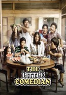 The Little Comedian poster image