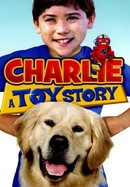 Charlie: A Toy Story poster image