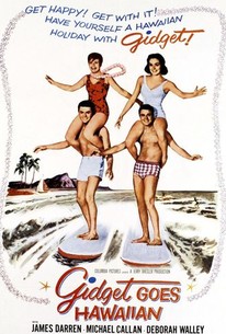 ヤング・ハワイ / Gidget Goes Hawaiian