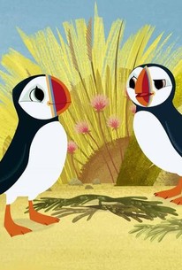 Puffin Rock: Season 2, Episode 15 | Rotten Tomatoes