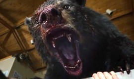 Cocaine Bear: Official Clip - The Cabin and Ambulance Massacre