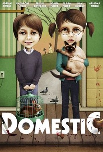 Watch trailer for Domestic