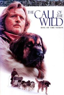 Poster for The Call of the Wild: Dog of the Yukon