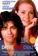 Drive Me Crazy poster image