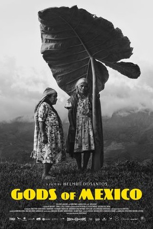 Gods of Mexico poster