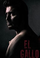 El Gallo poster image