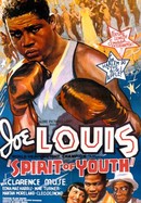 Spirit of Youth poster image