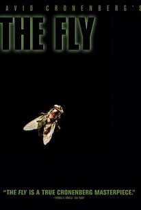The Fly