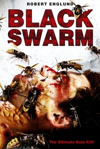 Watch trailer for Black Swarm