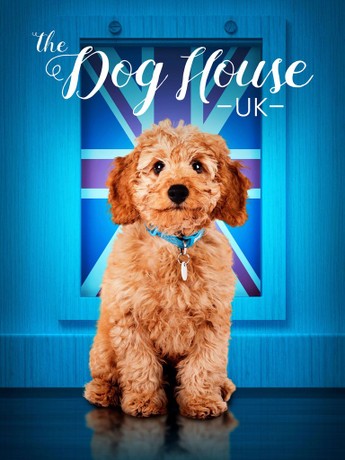 Firehouse top dog house