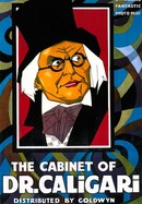 The Cabinet of Dr. Caligari poster image