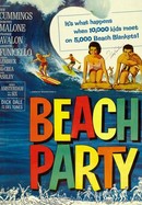 Beach Party poster image