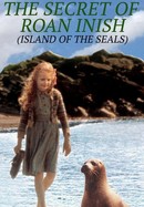 The Secret of Roan Inish poster image