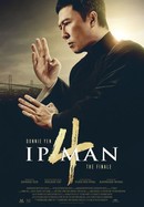 Ip Man 4: The Finale poster image