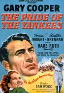 The Pride of the Yankees poster image
