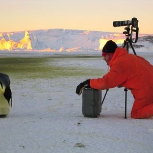 March of the Penguins photo 3