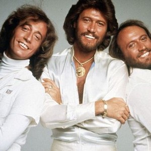 The Bee Gees: How Can You Mend a Broken Heart (2020) photo 18