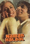 Namak Halaal poster image