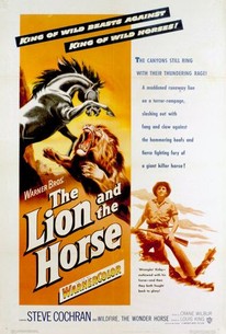 Watch trailer for The Lion and the Horse