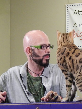 My cat from hell season 3 episode 8 discount