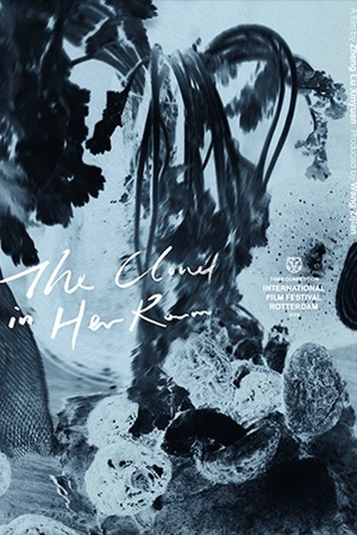 The Cloud in Her Room poster