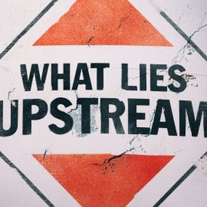What Lies Upstream photo 8