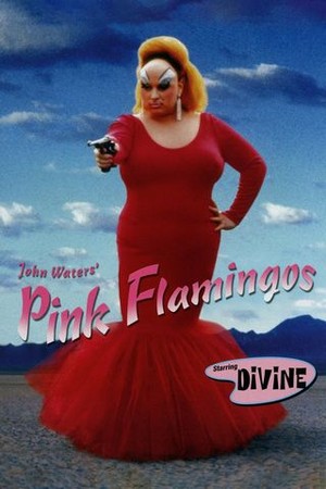Pink Flamingos poster