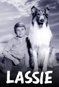 Watch trailer for Lassie