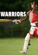 Warriors poster image