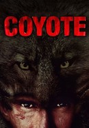 Coyote poster image