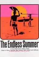 The Endless Summer poster image
