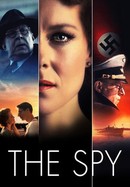 The spy poster image