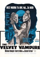 The Velvet Vampire poster image